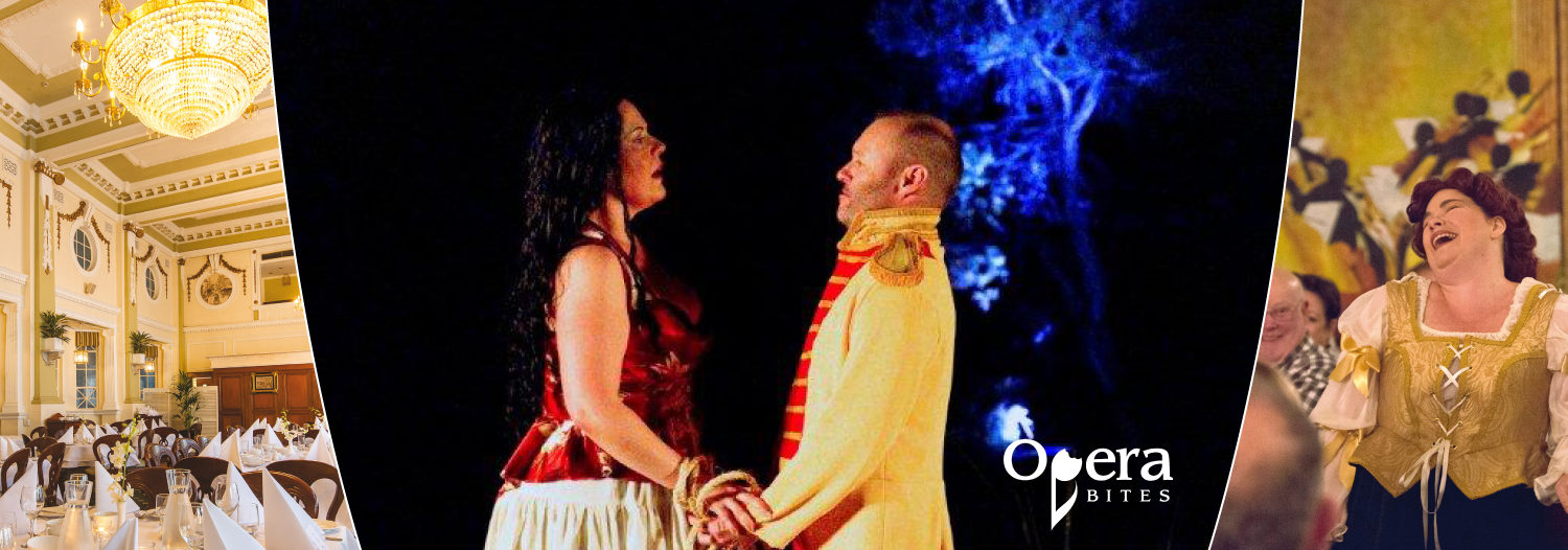 Opera-Dinner-Show-with-Opera-Bites-Castlereagh-Boutique-Hotel-Sydney-1500x526
